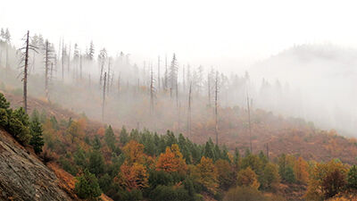 Trinity County has its head in the autumn clouds